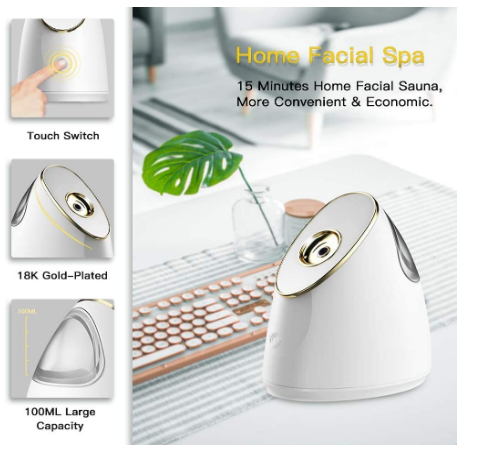 Home Sauna SPA Face Sprayer Facial Steamer