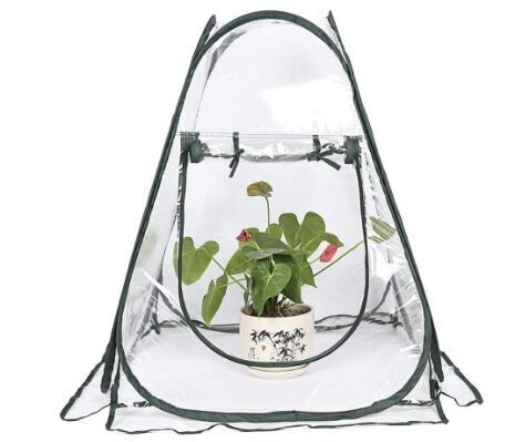 Pop-up Mini Greenhouse Tent