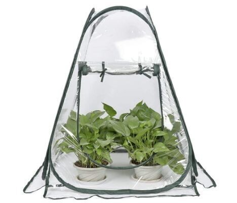 Pop-up Mini Greenhouse Tent