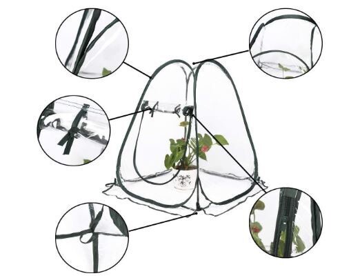 Pop-up Mini Greenhouse Tent