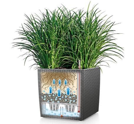 Cube Cottage Flower Pot, Decorative Plant Container for Indoor and Outdoor Use