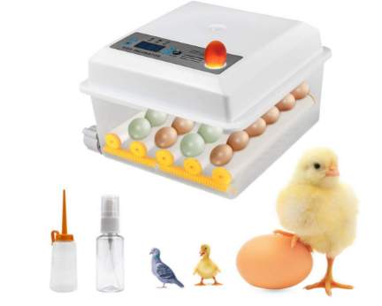 Automatic 16 Egg Incubator with Temperature Control – Brooding Machine for Chicken, Duck, Bird, &amp; Goose Eggs