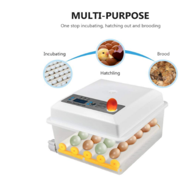 Automatic 16 Egg Incubator with Temperature Control – Brooding Machine for Chicken, Duck, Bird, &amp; Goose Eggs