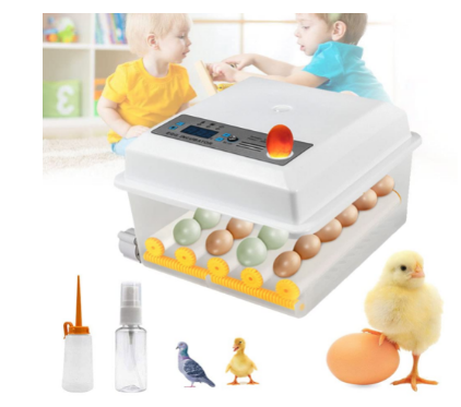 Automatic 16 Egg Incubator with Turner for Hatching.