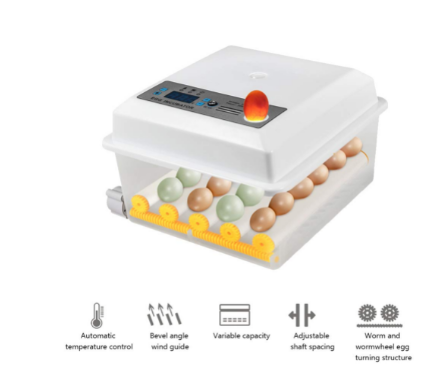Automatic 16 Egg Incubator with Temperature Control – Brooding Machine for Chicken, Duck, Bird, &amp; Goose Eggs