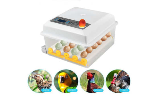 Automatic 16 Egg Incubator with Temperature Control – Brooding Machine for Chicken, Duck, Bird, &amp; Goose Eggs