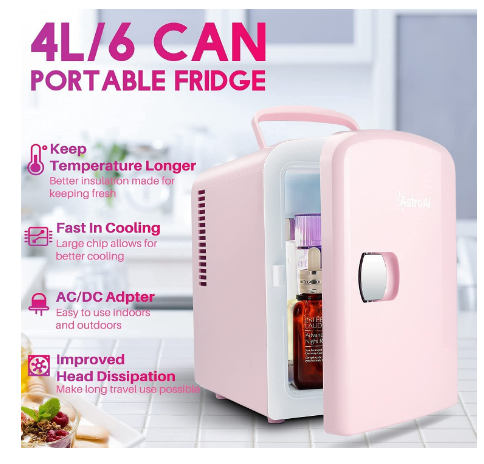 Mini Portable Car Fridge 4L 12V / 220V, Electric Hot / Cold