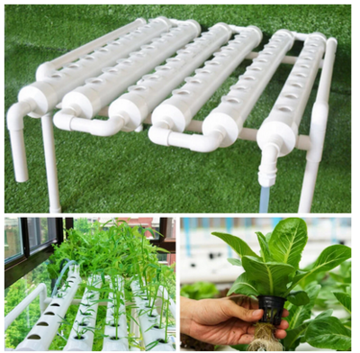 Water Culture Planting Box Gardening System Nursery Pot Hydroponic Rack