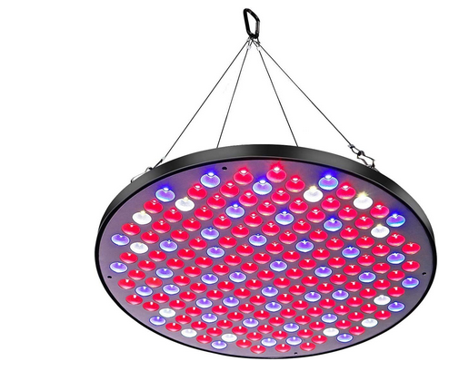Affordable Head Plant Grow Light for Gardening, Greenhouse, Office Reading.