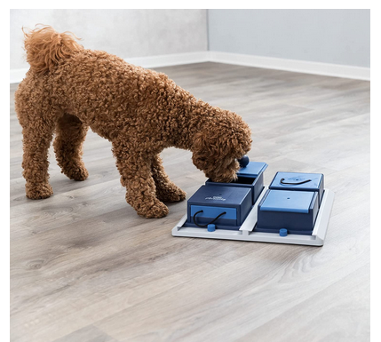 Dog Activity Strategy Game – Interactive Puzzle Toy for Mental Stimulation and Training for Dogs