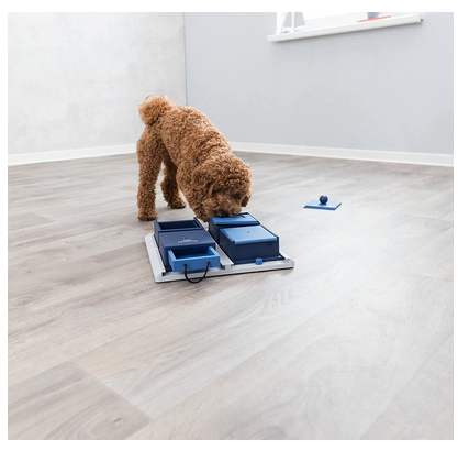 Dog Activity Strategy Game – Interactive Puzzle Toy for Mental Stimulation and Training for Dogs