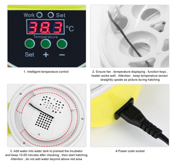 Mini Egg Incubator 7 Eggs Temperature Control