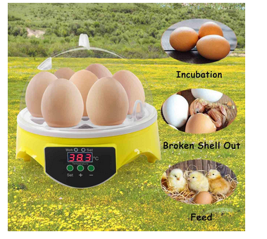 Mini Egg Incubator 7 Eggs Temperature Control