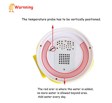 Mini Egg Incubator 7 Eggs Temperature Control