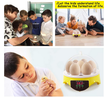 Mini Egg Incubator 7 Eggs Temperature Control