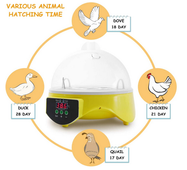 Mini Egg Incubator 7 Eggs Temperature Control