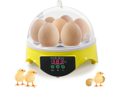 Mini Egg Incubator 7 Eggs Temperature Control