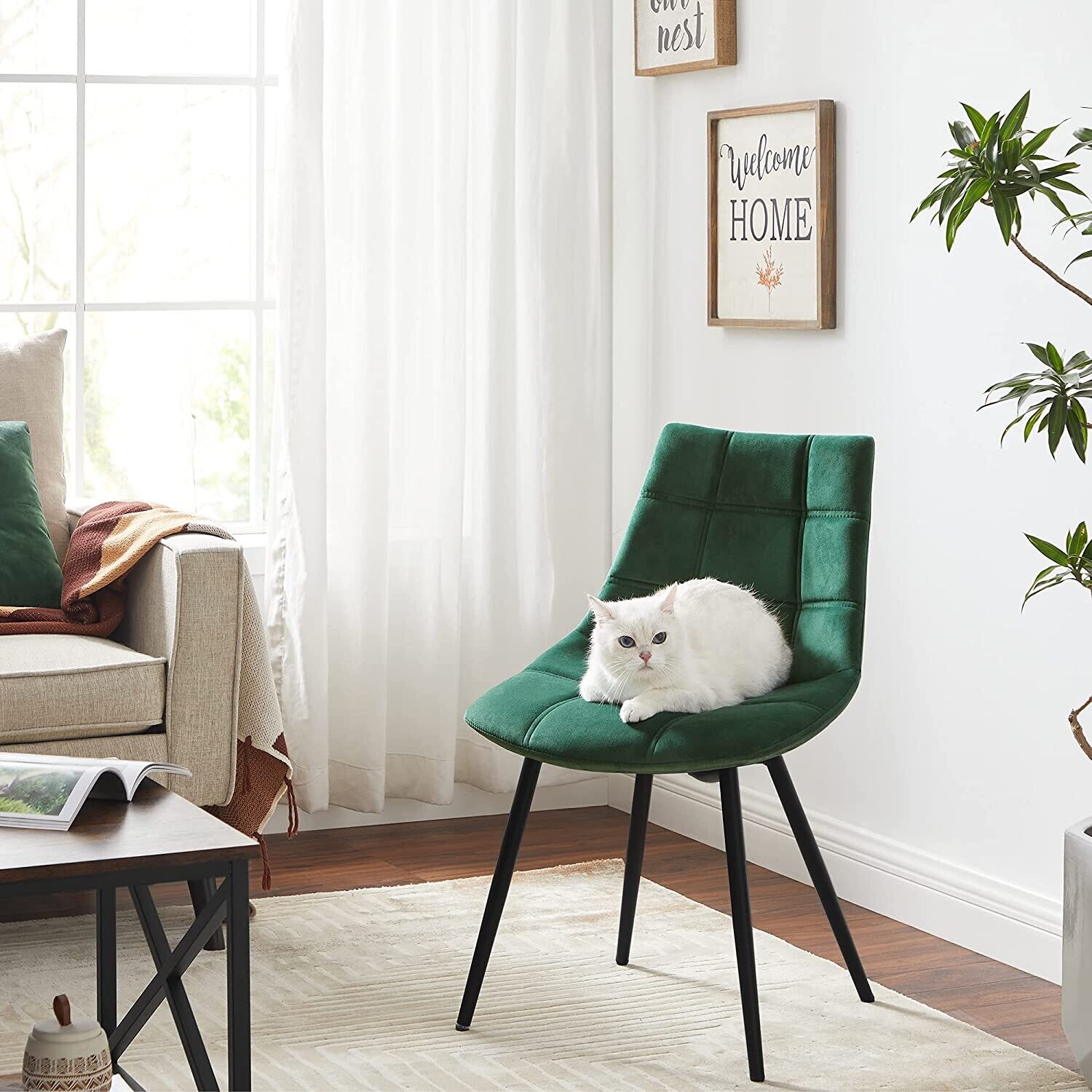 Set of 2 Modern Kitchen Chairs