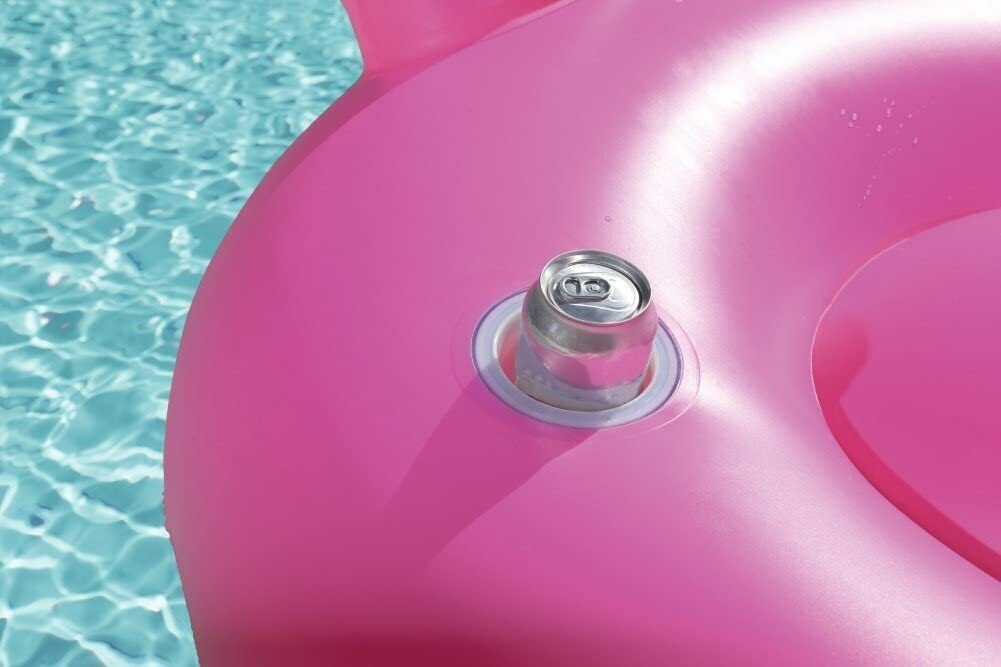 Supersized Flamingo Rider