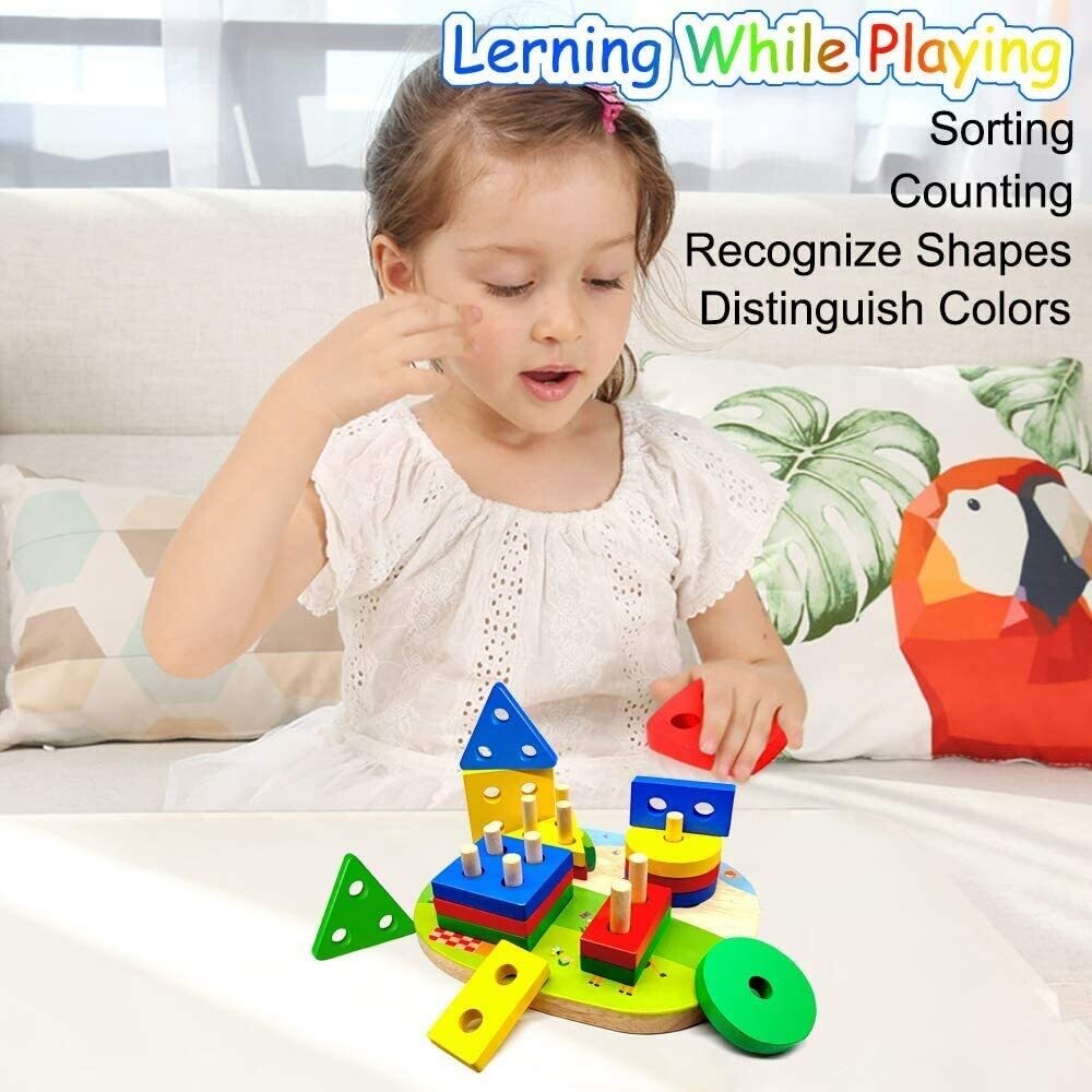 Plug-In Puzzle Wooden Toy