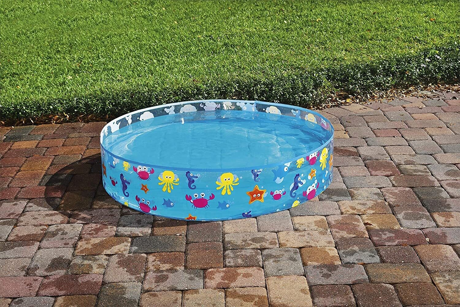 Fill &#39;N Fun Ocean Life Fixed Pool – 122 x 25 cm, Inflatable Kids’ Pool for Backyard Fun