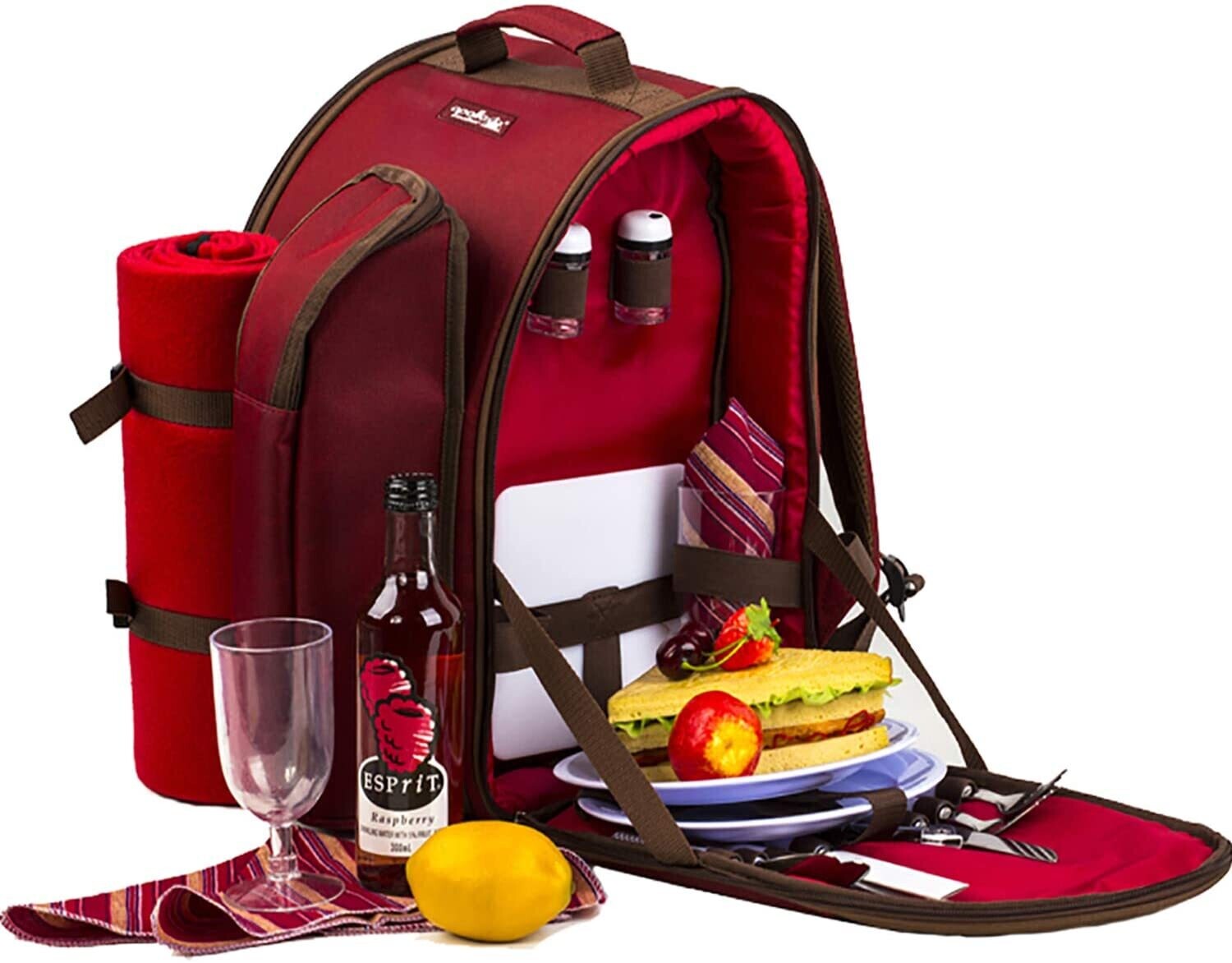 Picnic Backpack for 4 People with Fleece Blanket