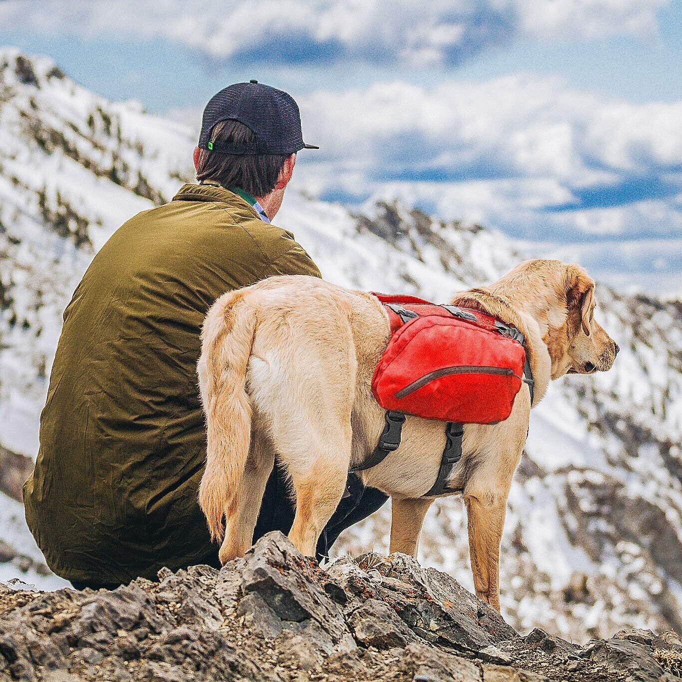 Dog Backpack Harness – Hiking and Camping Backpack for Dogs, Reflective &amp; Lightweight Vest Harness for Medium and Large Dogs, Perfect for Travel and Outdoor Adventures
