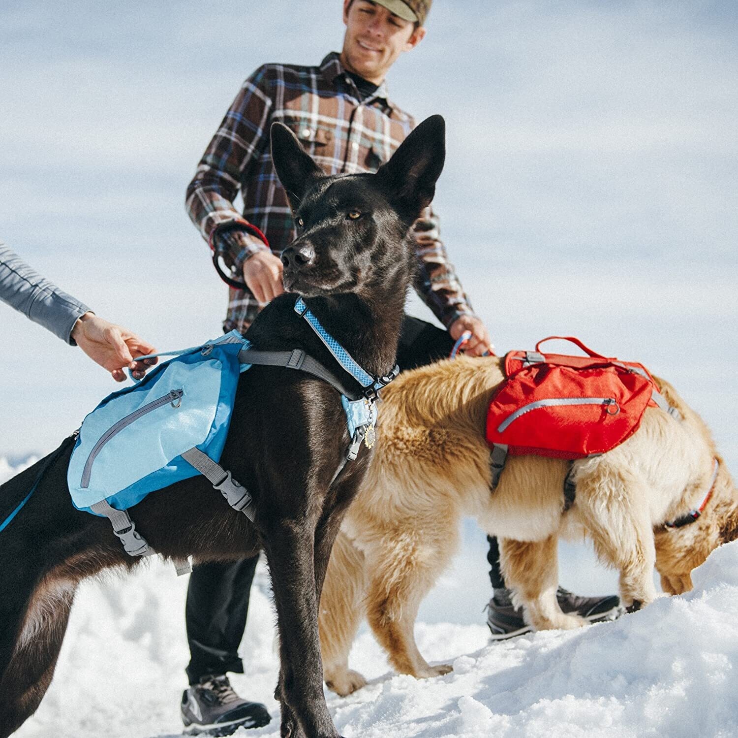 Dog Backpack Harness – Hiking and Camping Backpack for Dogs, Reflective &amp; Lightweight Vest Harness for Medium and Large Dogs, Perfect for Travel and Outdoor Adventures