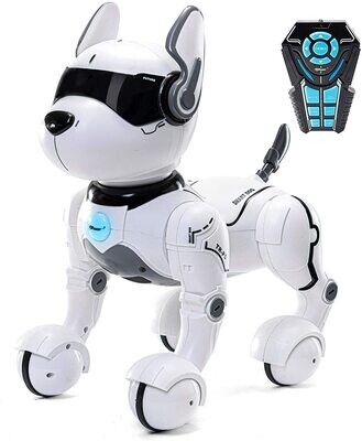 Remote Control Robot Dog Toy for Kids