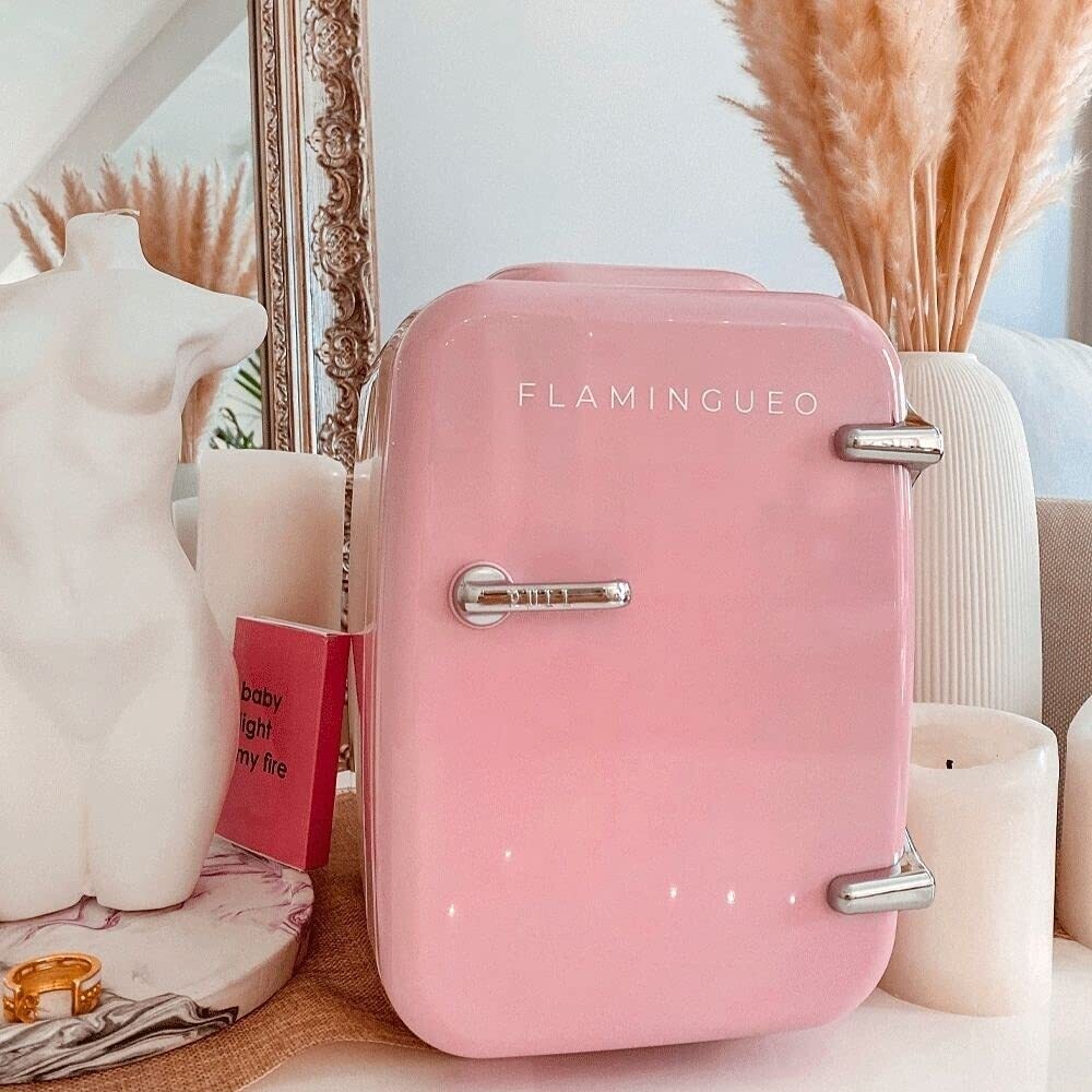 4 Litre Mini Fridge 12 V/220 V, Cooling and Heating, Drinks Fridge, Minibar