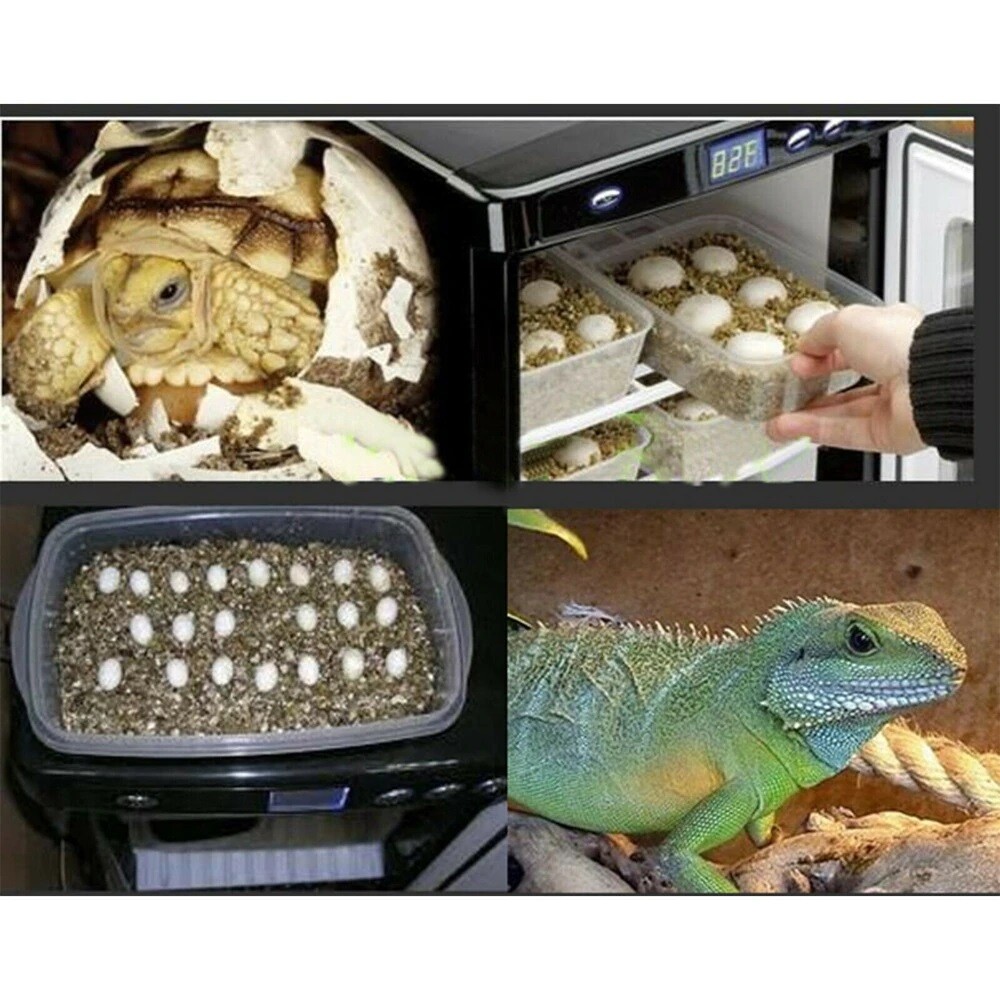 25L Nursery Digital Egg Incubator for Reptile Breeding - Ideal for Hatching Snakes, Tortoises, and Other Herpetiles with Precise Temperature Control