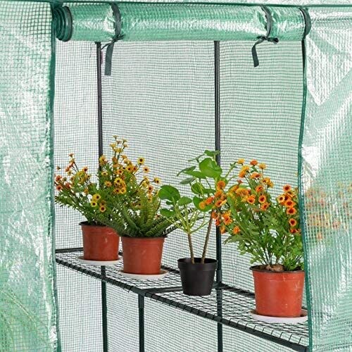 Foil Greenhouse for Tomato Plants – Durable Outdoor Plant Shelter for Optimal Growth