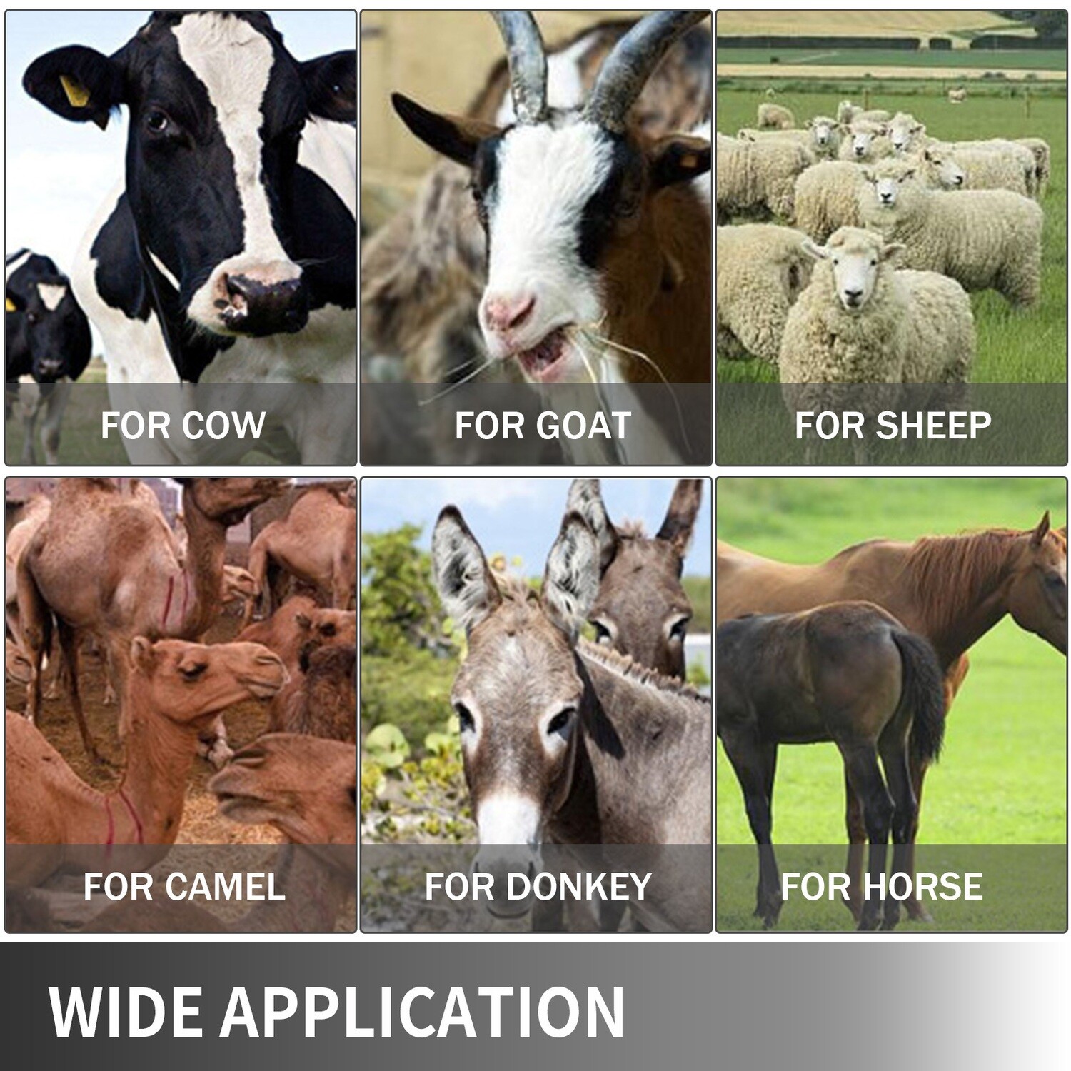 Electric Milking Machine for Cows and Goats – 12-Cow Per Hour Vacuum Pump Milker for Farm Use