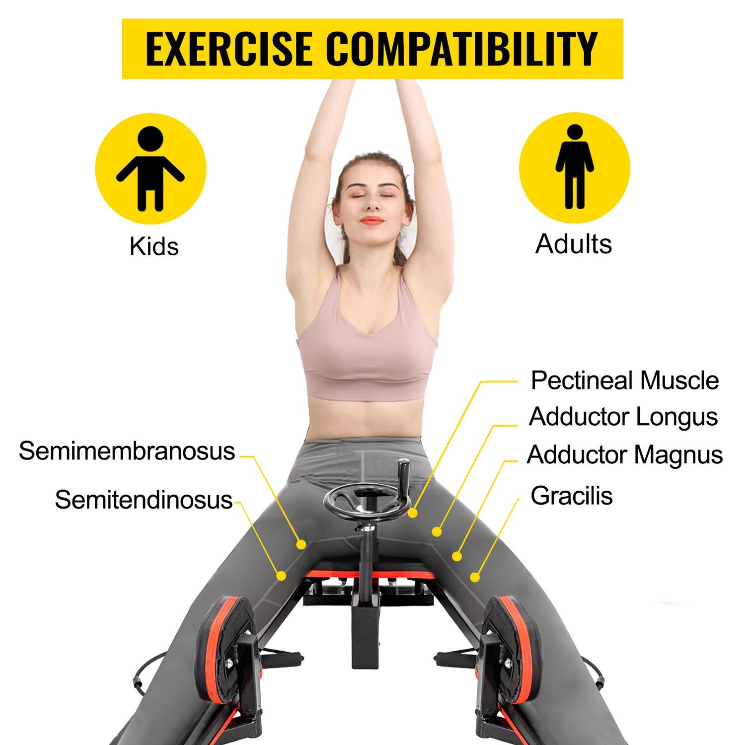 Split Training Equipment Gym Heavy Duty Leg Stretcher Stretching Machine