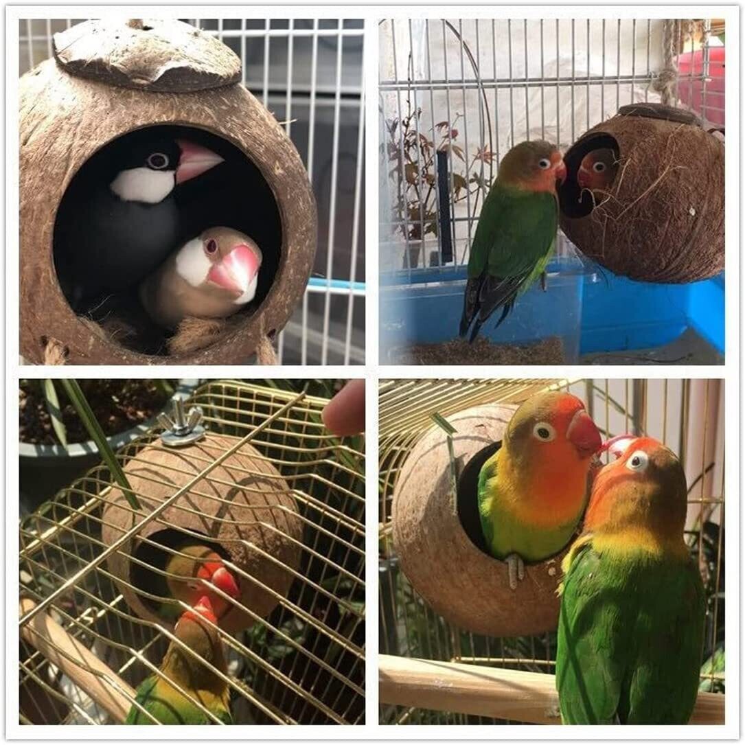 Coconut Shell Climbing Nest, Bird House for Ornamental Birds, Natural Coconut Habitat for Birds
