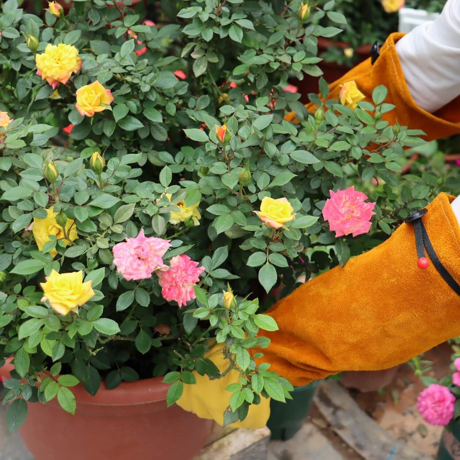 Planting gloves Heavy Duty Gardening Gloves for Men and Women for pruning roses that are thorn-proof