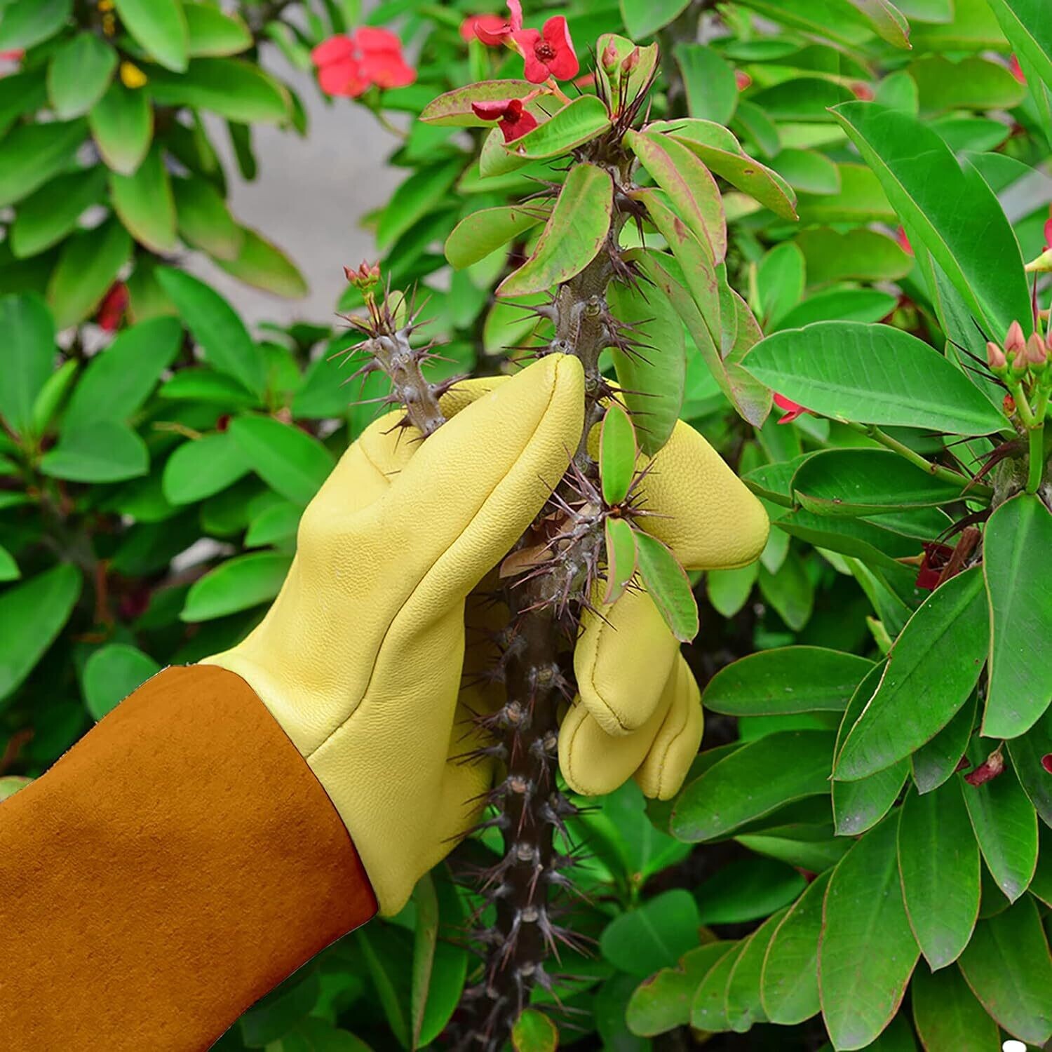 Planting gloves Heavy Duty Gardening Gloves for Men and Women for pruning roses that are thorn-proof