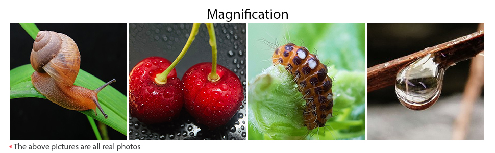 Professional Macro Lens for Smartphone HD Macro Lens Smartphone Compatible with iPhone, Pixels, Samsung Galaxy, Huawei, Xiaomi and Most Mobile Phones