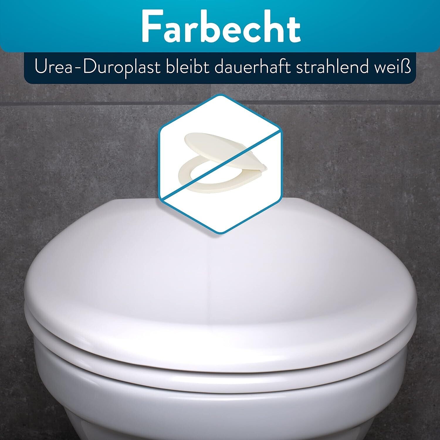 Toilet Seat with Quick-Release Function and Soft-Close Mechanism