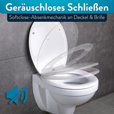 Toilet Seat with Quick-Release Function and Soft-Close Mechanism