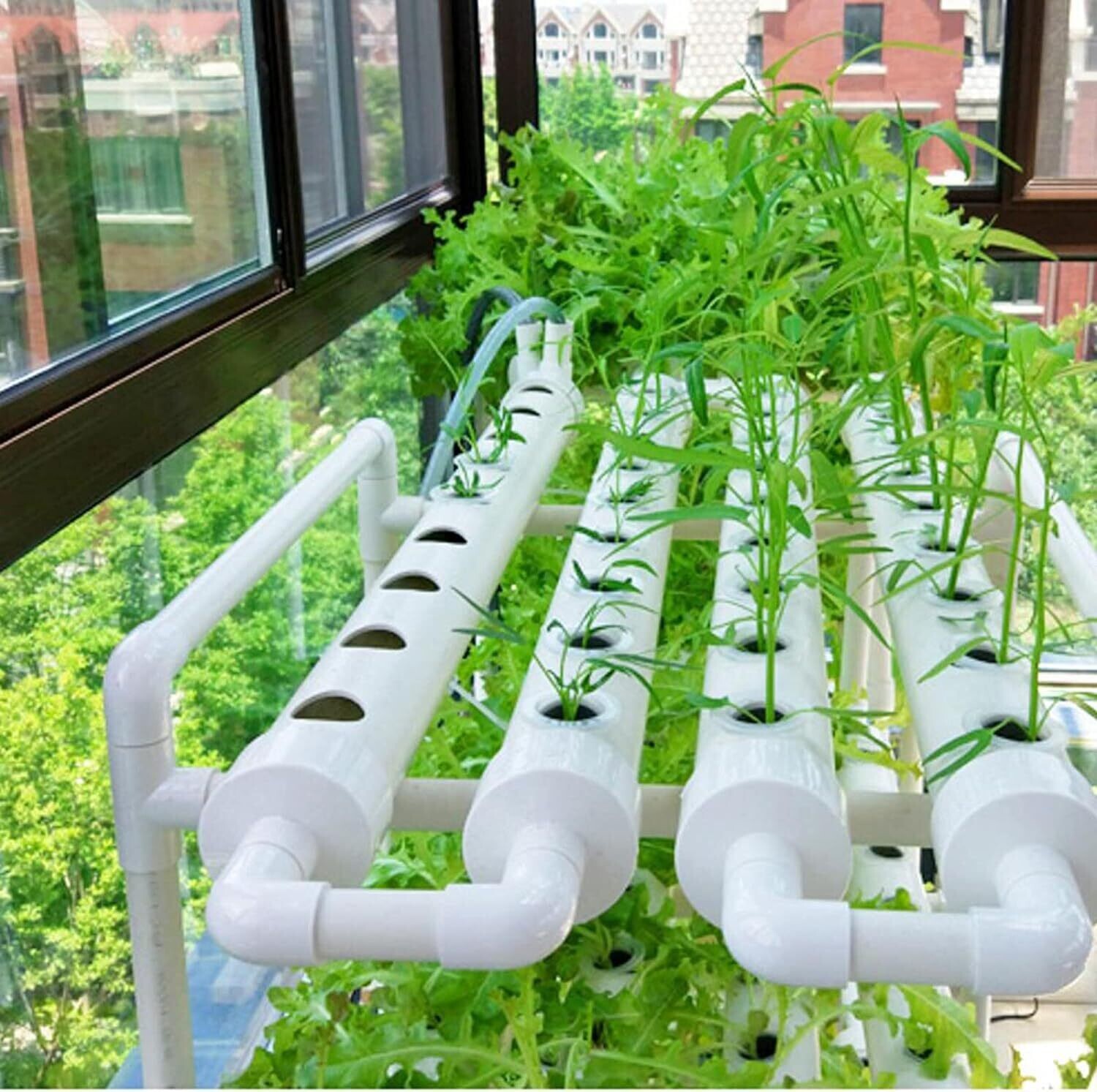 54-Holes Hydroponic Piping Site Grow Kit, Deep Water Culture Planting Box, Gardening System, Nursery Pot Hydroponic Rack