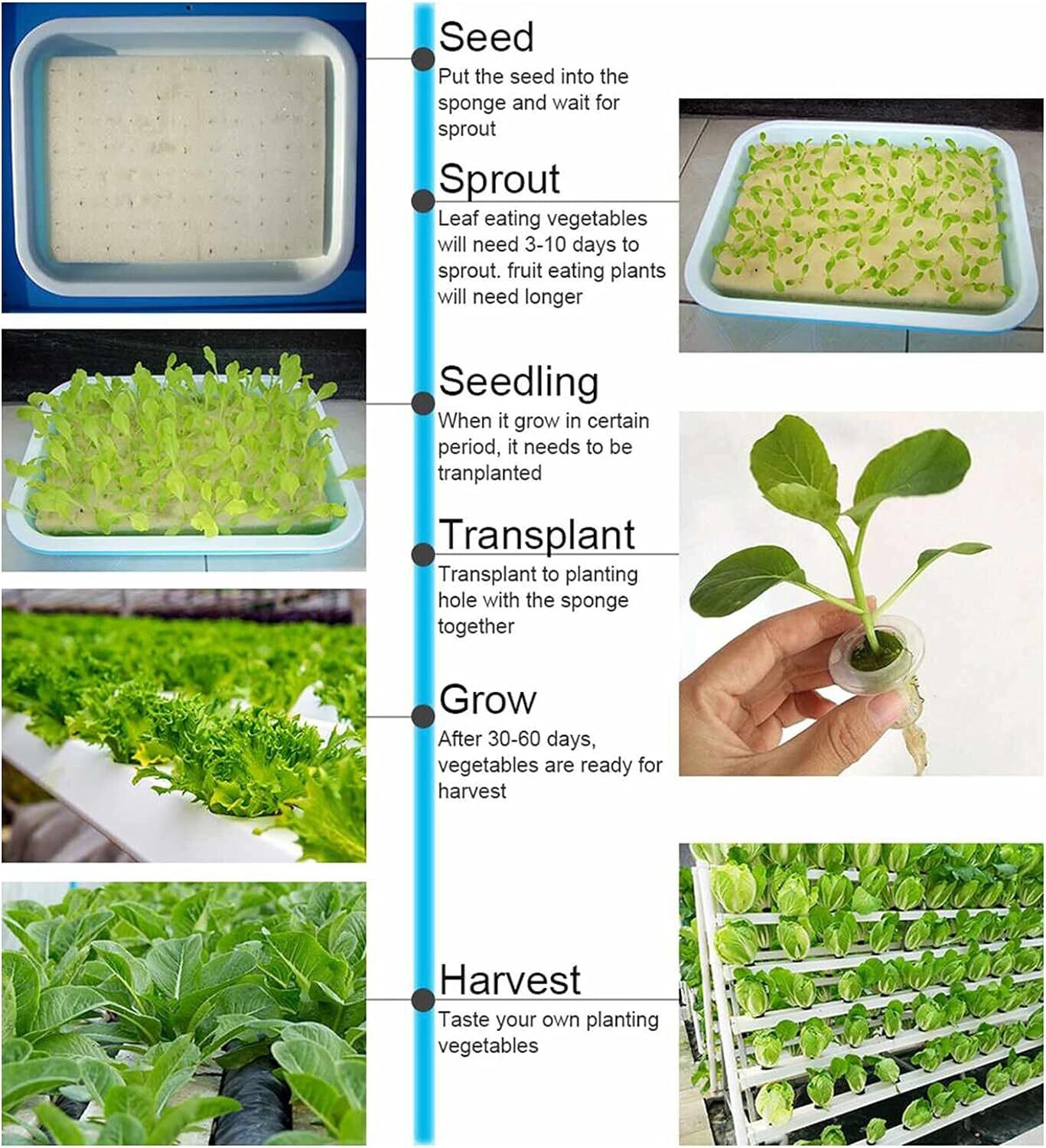 54-Holes Hydroponic Piping Site Grow Kit, Deep Water Culture Planting Box, Gardening System, Nursery Pot Hydroponic Rack