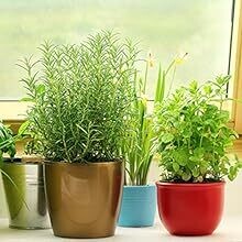 Seedling Heat Mat, Waterproof Heated Pad for Plants, Winter Greenhouse Hydroponic Heating Mat for Seedling Germination and Reptiles, 10&quot;x20.75&quot; (25 x 52cm)