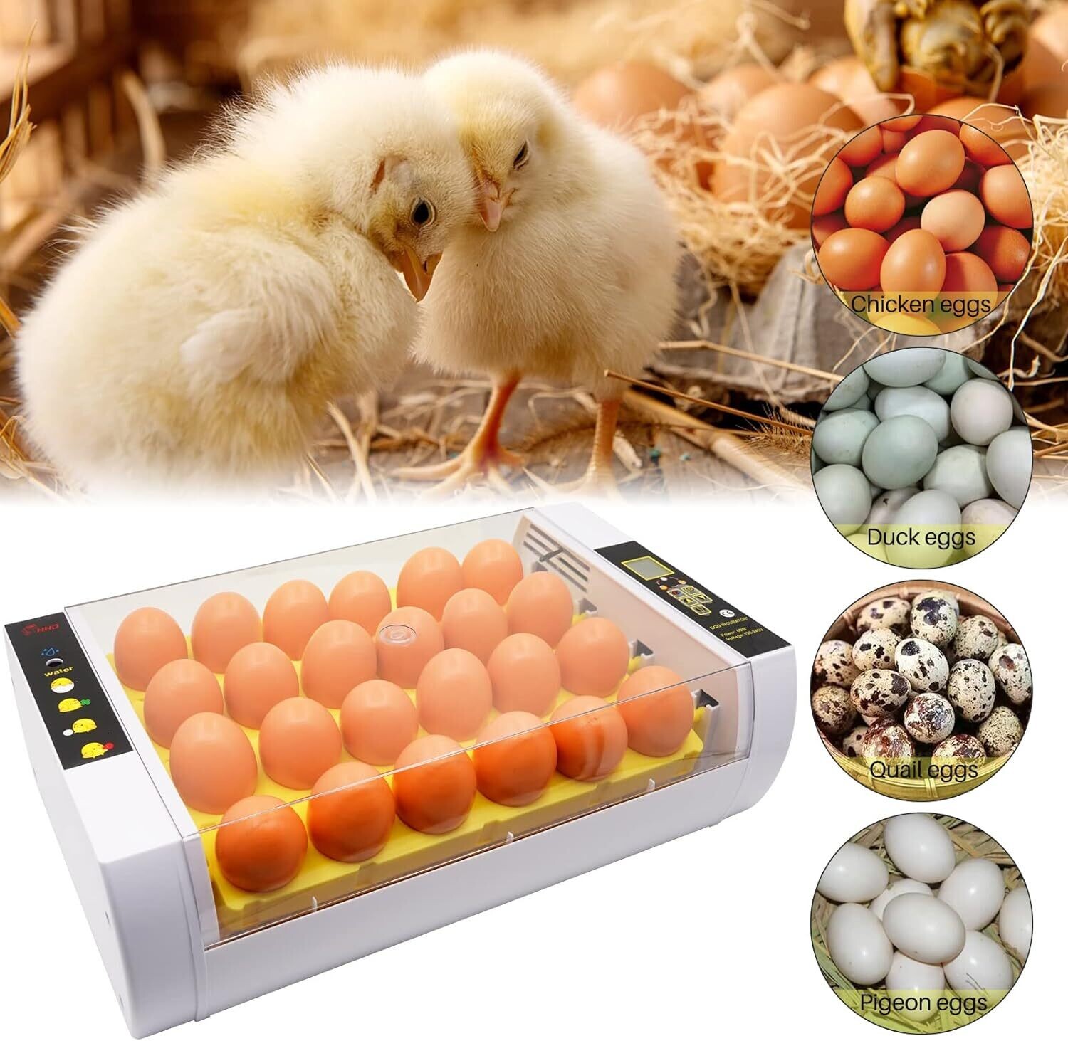 24-Egg Incubator with Automatic Digital Temperature Control - Reliable Egg Hatching Machine for Poultry Farming