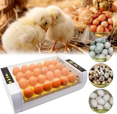 24-Egg Incubator with Automatic Digital Temperature Control - Reliable Egg Hatching Machine for Poultry Farming