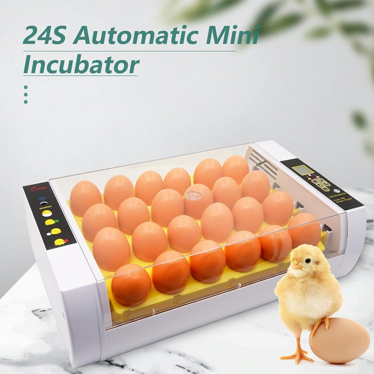 24-Egg Incubator with Automatic Digital Temperature Control - Reliable Egg Hatching Machine for Poultry Farming