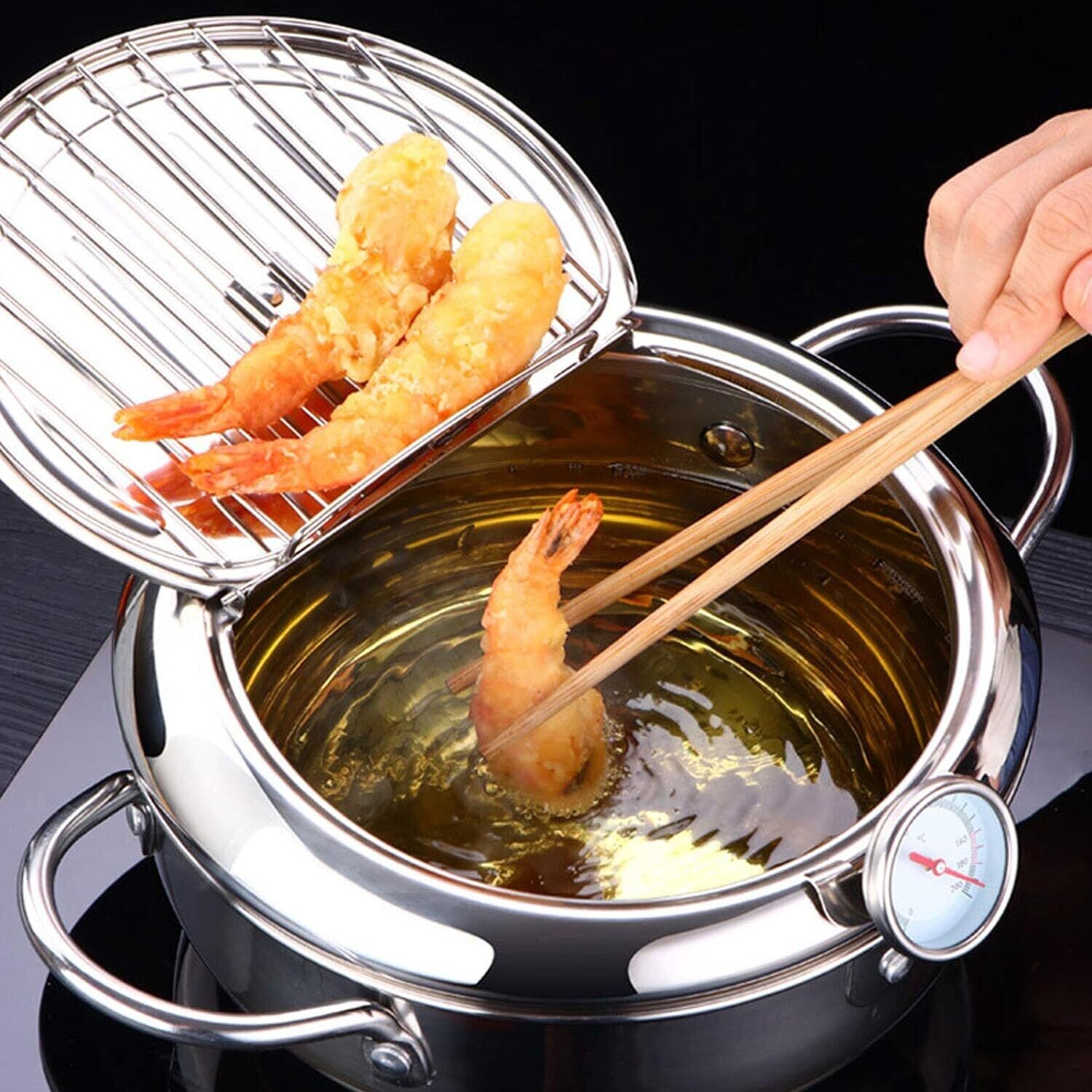 Stainless Steel Induction Cooker/Fryer With Adjustable Temperature