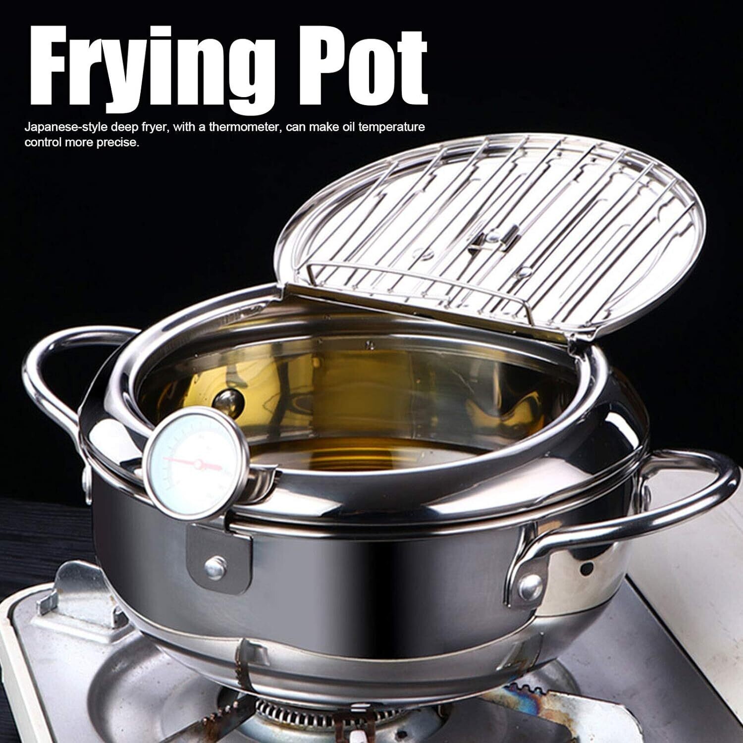 Stainless Steel Induction Cooker/Fryer With Adjustable Temperature