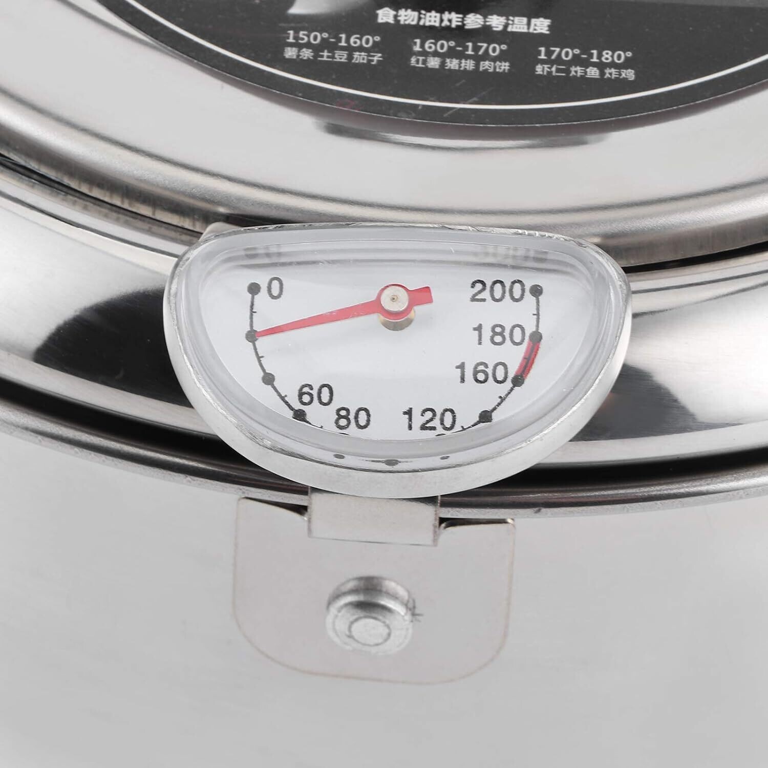 Stainless Steel Induction Cooker/Fryer With Adjustable Temperature