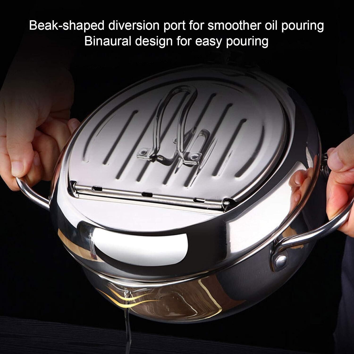 Stainless Steel Induction Cooker/Fryer With Adjustable Temperature